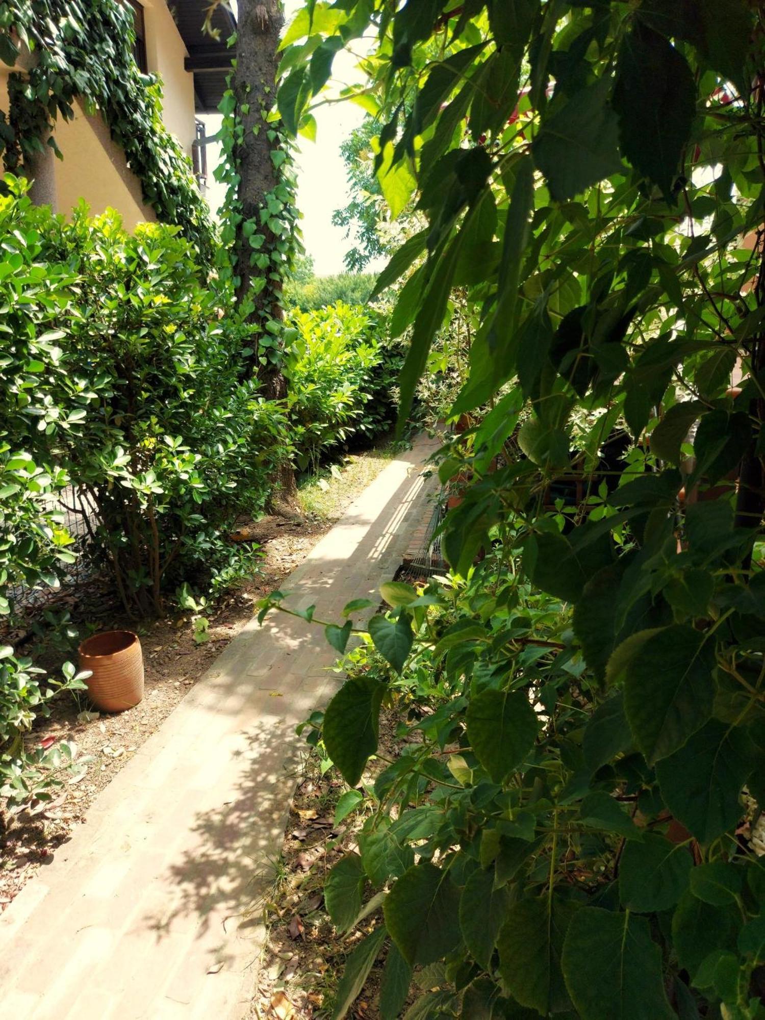 Eden Apartment Sveta Nedjelja  Zewnętrze zdjęcie